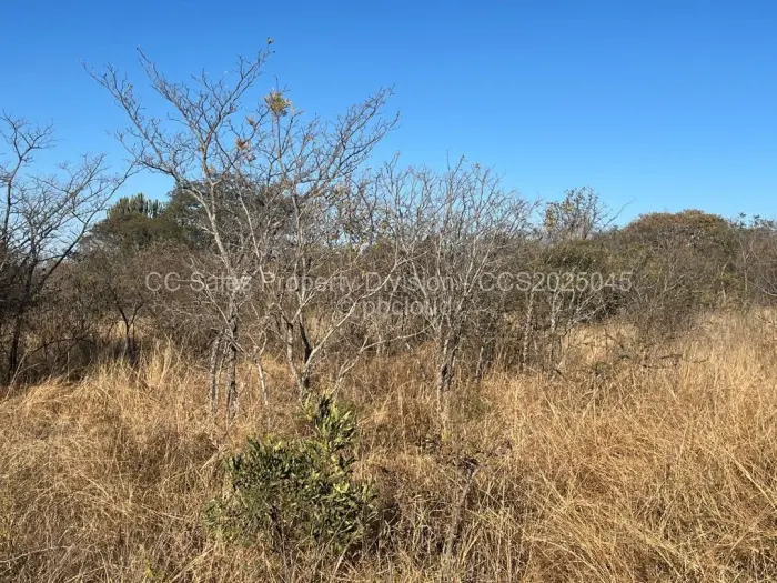 Farm/Plot for Sale in Burnside, Bulawayo
