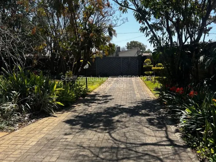 3 Bedroom House to Rent in Alexandra Park