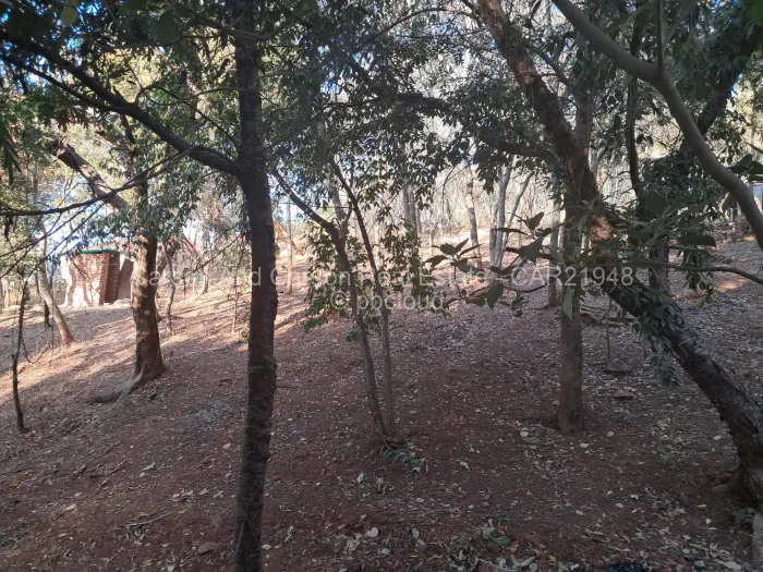 3 Bedroom Cottage/Garden Flat for Sale in Philadelphia, Harare