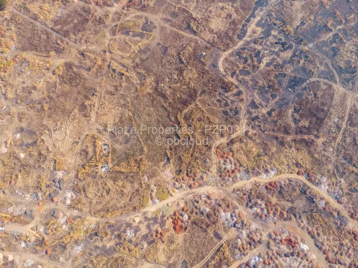 Farm/Plot for Sale in Borrowdale, Harare