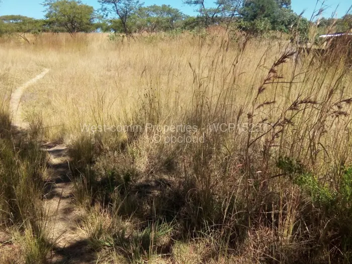 Residential Stand for Sale in Donnybrook, Harare