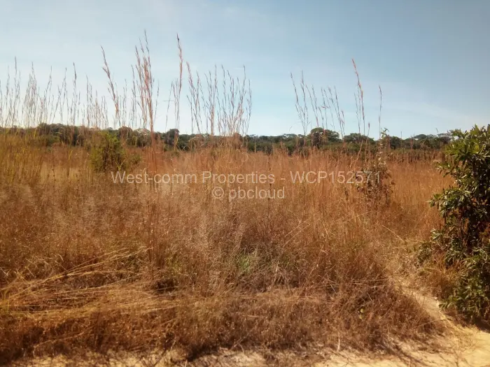 Residential Stand for Sale in Donnybrook, Harare
