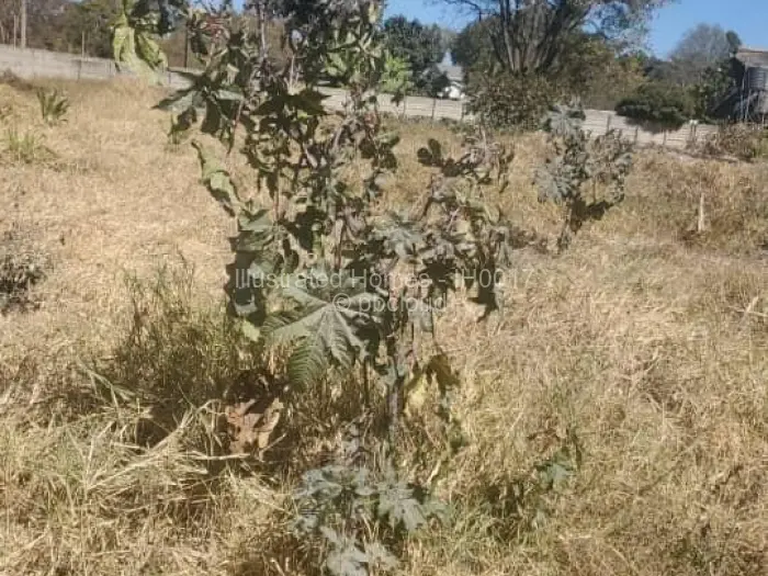 Stand for Sale in Helensvale