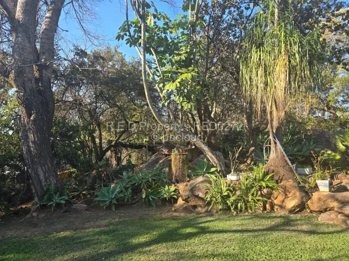 4 Bedroom House for Sale in Hillside Byo, Bulawayo