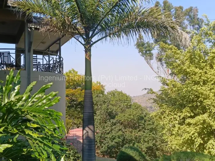 5 Bedroom House to Rent in Helensvale