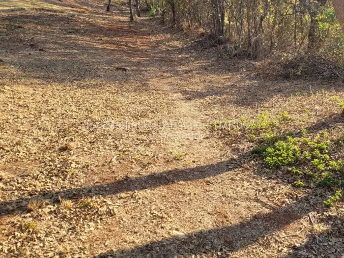 Stand for Sale in Borrowdale, Harare