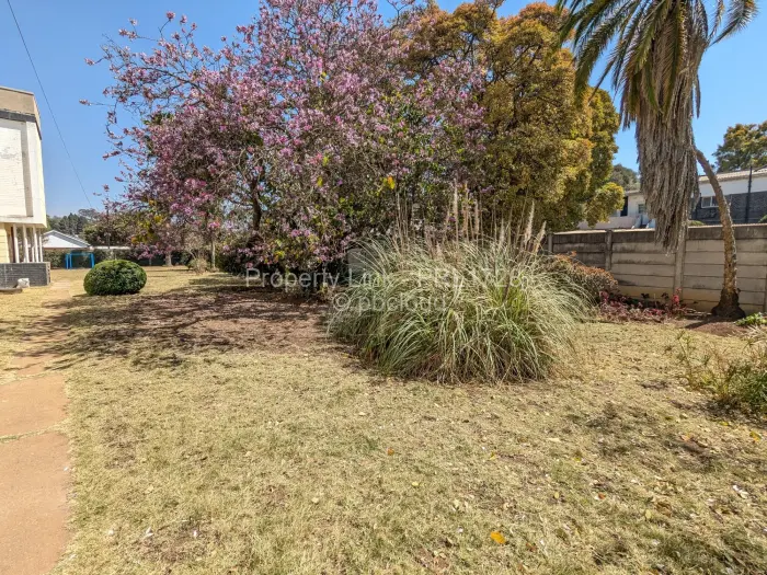 Flat/Apartment to Rent in Avondale