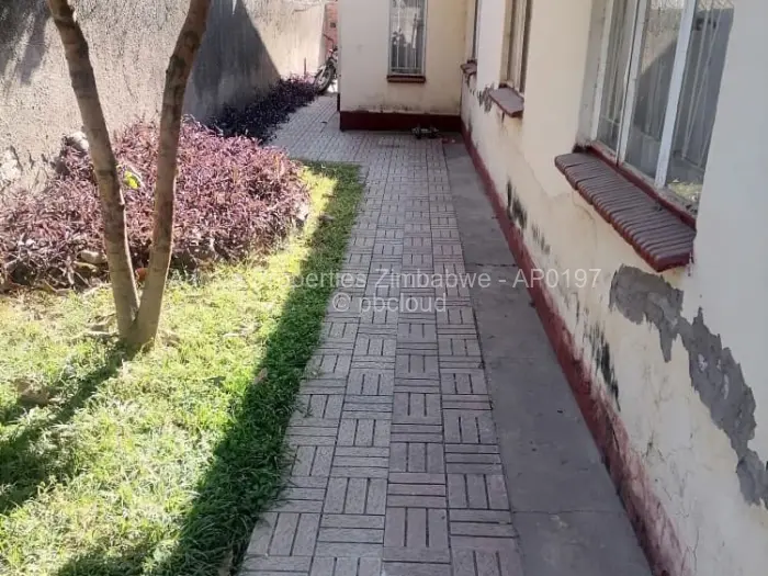 3 Bedroom House to Rent in Budiriro
