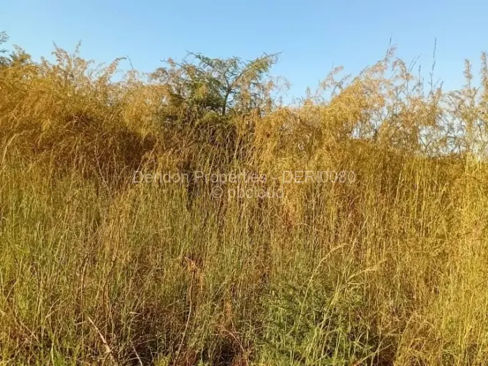 Farm/Plot for Sale in Cromlet, Arcturus