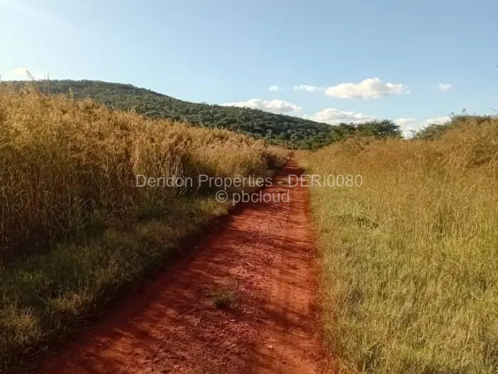 Farm/Plot for Sale in Cromlet, Arcturus