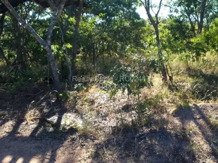 Farm/Plot for Sale in Gweru East, Gweru