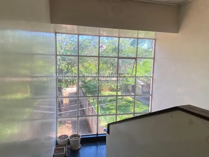 Flat/Apartment to Rent in Avondale West