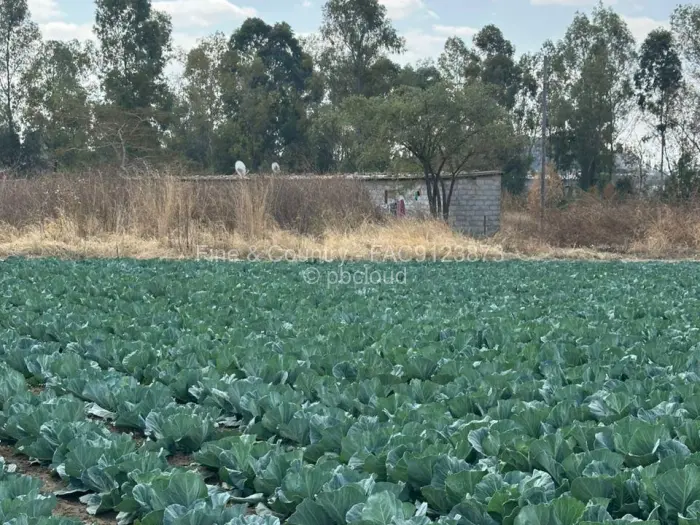 Land for Sale in Tynwald, Harare