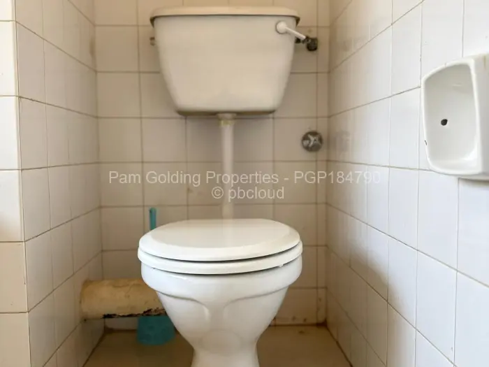 Flat/Apartment to Rent in Greystone Park