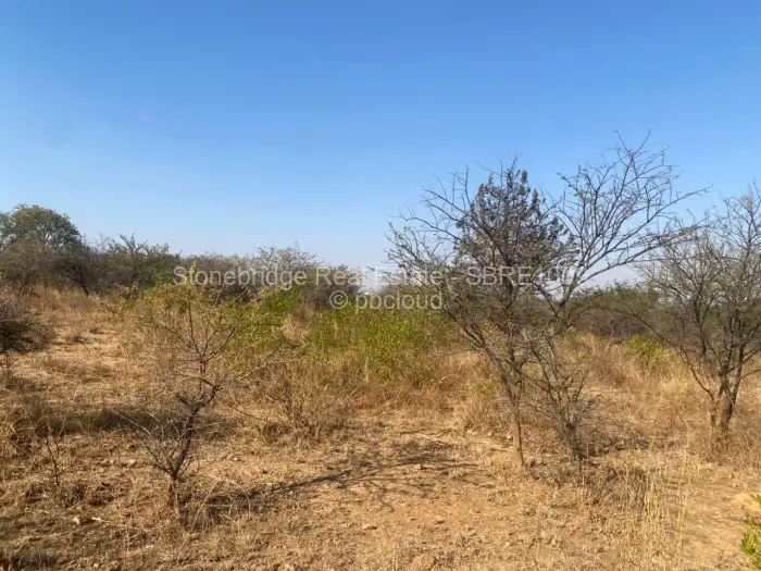 Commercial Stand for Sale in Claremont, Bulawayo