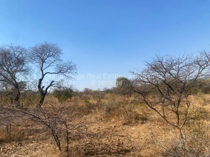 Commercial Stand for Sale in Claremont, Bulawayo