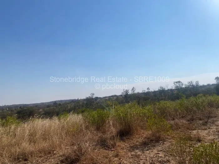 Commercial Stand for Sale in Claremont, Bulawayo