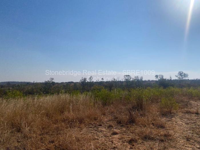 Commercial Stand for Sale in Claremont, Bulawayo