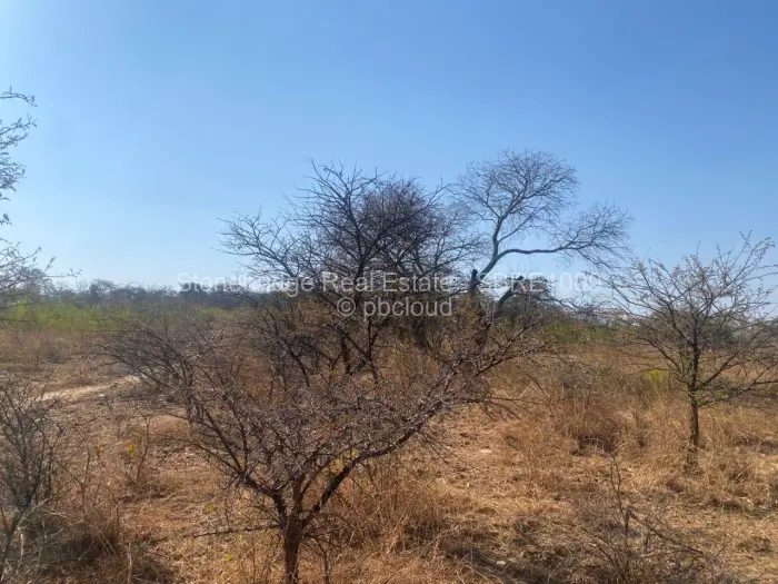 Commercial Stand for Sale in Claremont, Bulawayo