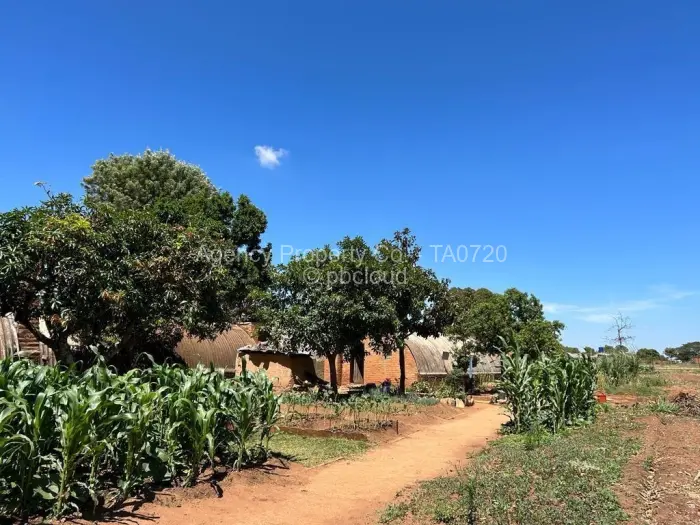 Farm/Plot for Sale in Ruwa, Ruwa