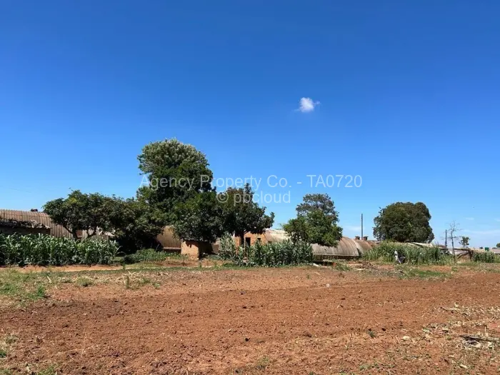 Farm/Plot for Sale in Ruwa, Ruwa