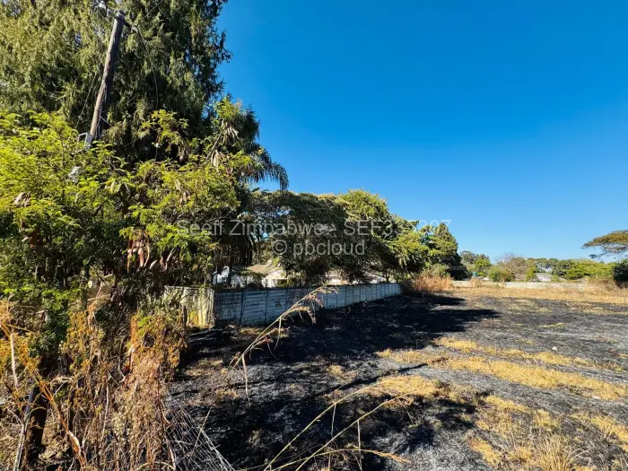 Farm/Plot for Sale in Borrowdale, Harare