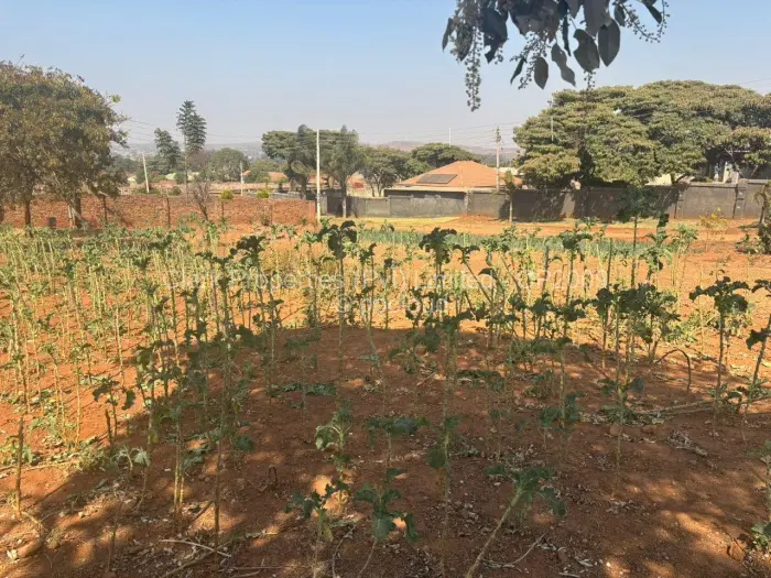 Land for Sale in Tynwald, Harare