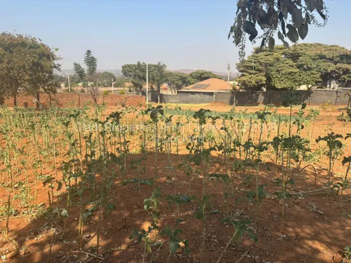 Land for Sale in Tynwald, Harare