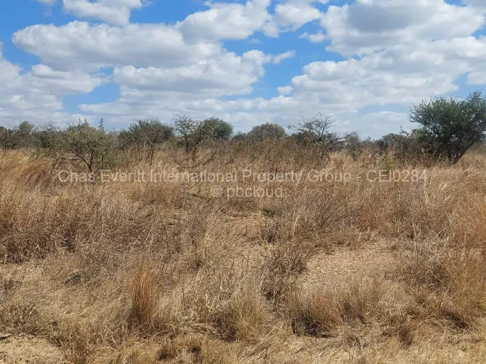 Stand for Sale in Kings City, Bulawayo