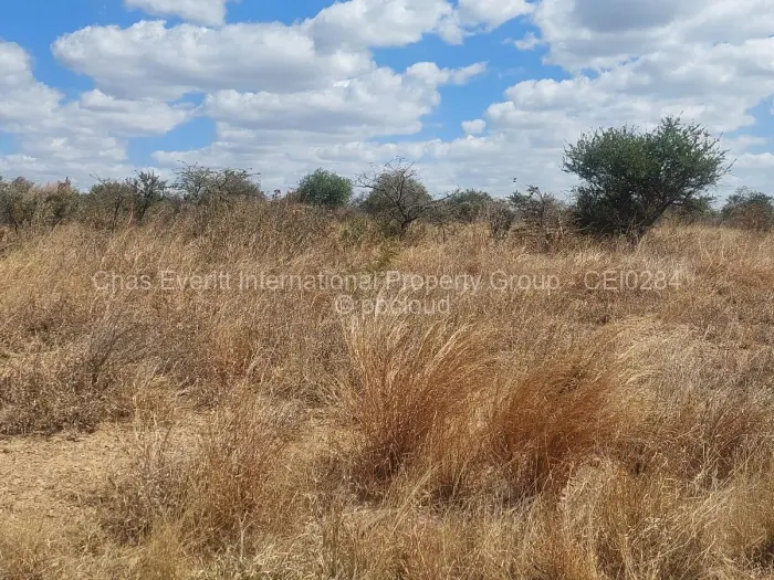 Stand for Sale in Kings City, Bulawayo