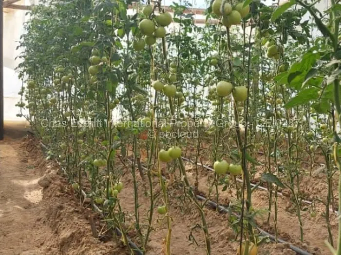 Farm/Plot for Sale in Marondera, Marondera