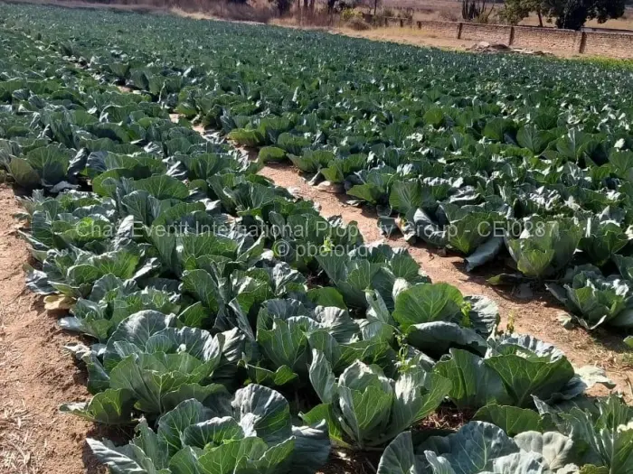 Farm/Plot for Sale in Marondera, Marondera