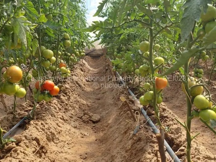 Farm/Plot for Sale in Marondera, Marondera