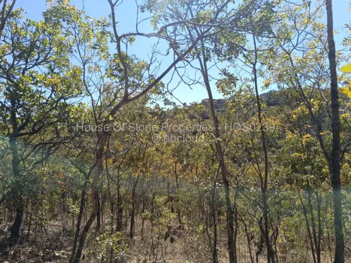 Residential Stand for Sale in Borrowdale, Harare