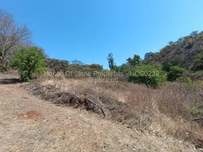 Residential Stand for Sale in Borrowdale, Harare