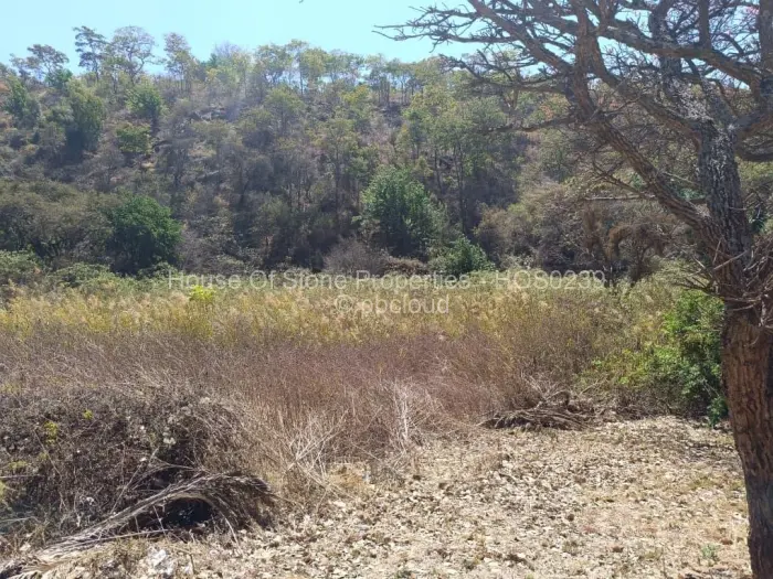 Residential Stand for Sale in Borrowdale, Harare