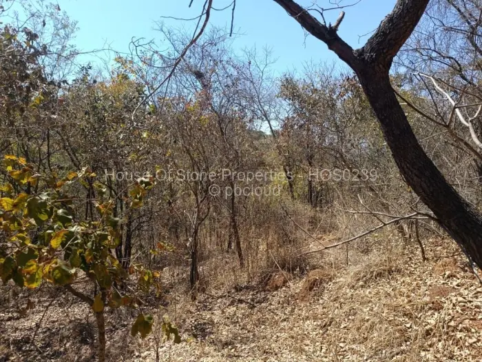Residential Stand for Sale in Borrowdale, Harare