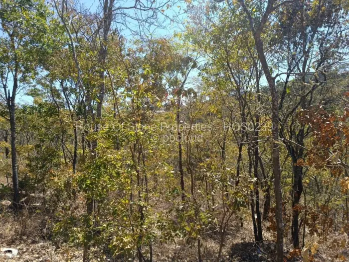 Residential Stand for Sale in Borrowdale, Harare