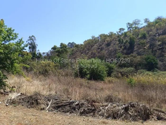 Residential Stand for Sale in Borrowdale, Harare