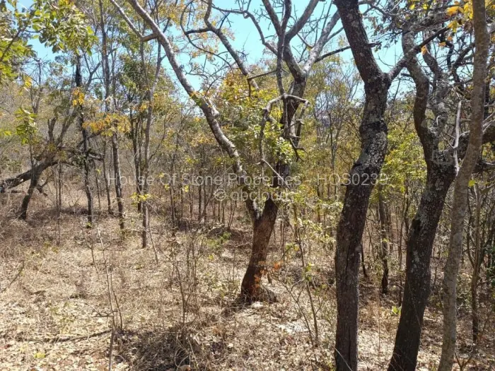 Residential Stand for Sale in Borrowdale, Harare