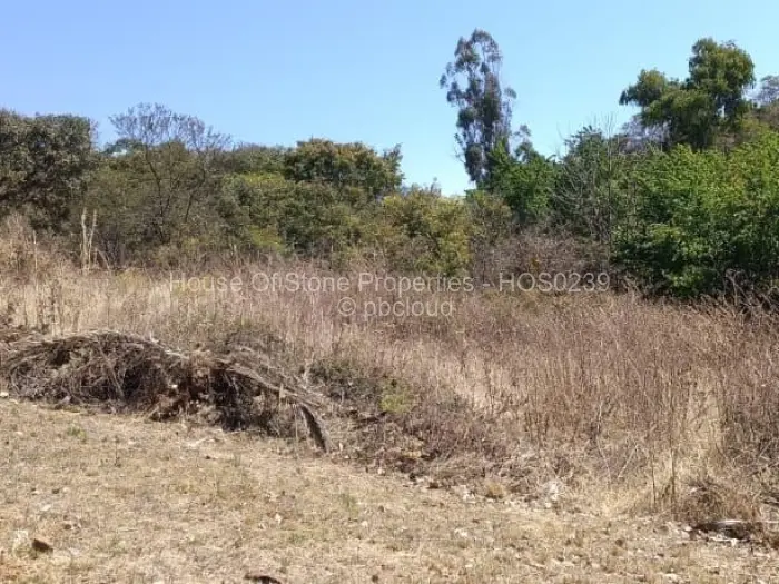 Residential Stand for Sale in Borrowdale, Harare