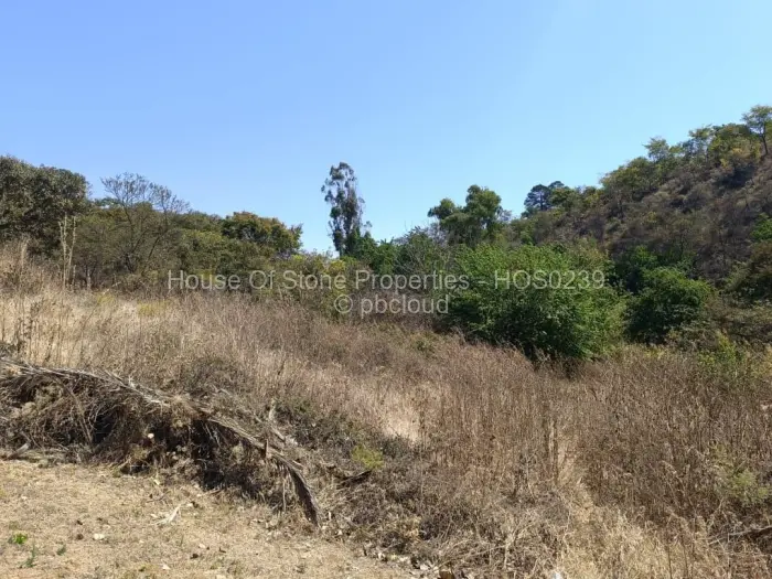 Residential Stand for Sale in Borrowdale, Harare