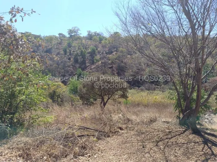 Residential Stand for Sale in Borrowdale, Harare