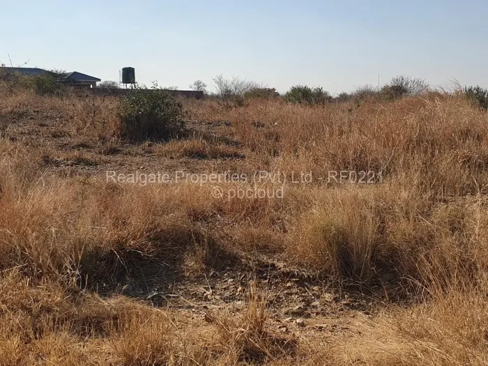 Land for Sale in Kings City