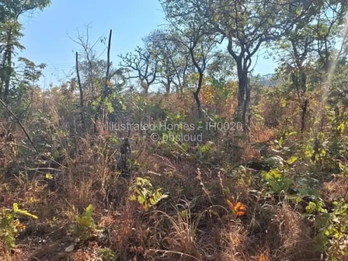 Residential Stand for Sale in Concession, Concession