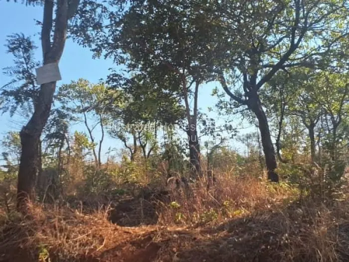 Residential Stand for Sale in Concession, Concession