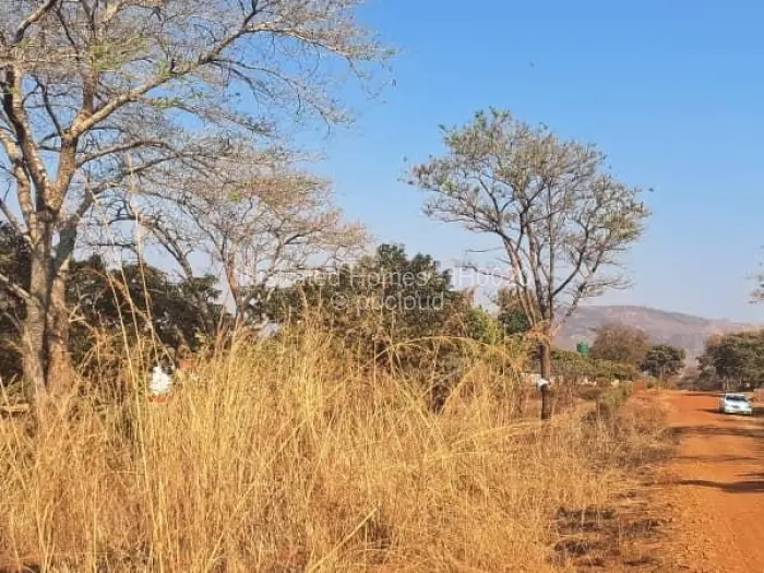 Residential Stand for Sale in Concession, Concession