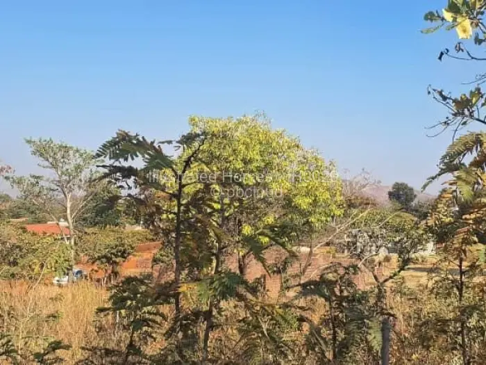 Residential Stand for Sale in Concession, Concession