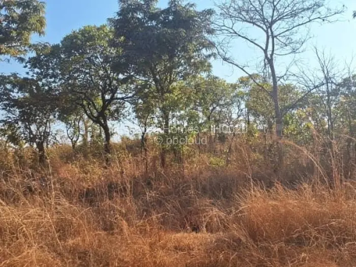 Residential Stand for Sale in Concession, Concession