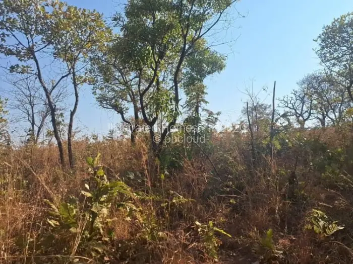 Residential Stand for Sale in Concession, Concession